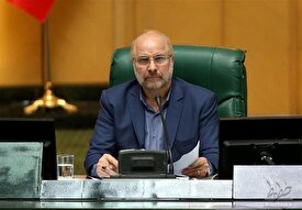 شهید سلیمانی یک هنرمند است