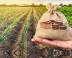 عزم جدی بیمه کشاورزی در تقویت پایه‌های مالی
