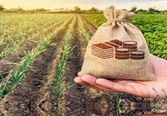 عزم جدی بیمه کشاورزی در تقویت پایه‌های مالی