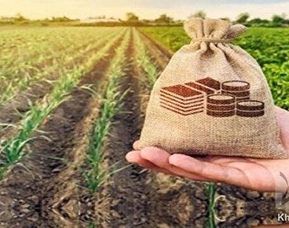 عزم جدی بیمه کشاورزی در تقویت پایه‌های مالی