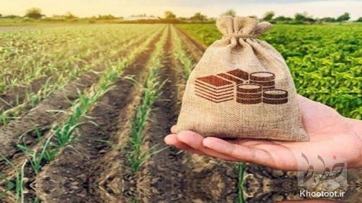 عزم جدی بیمه کشاورزی در تقویت پایه‌های مالی